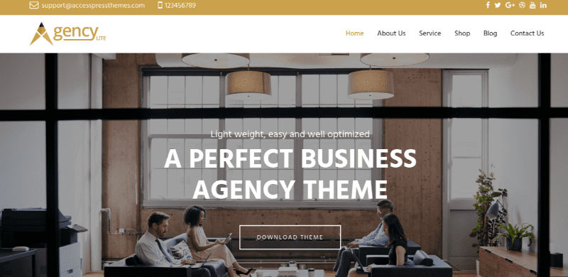 Agency Lite business theme
