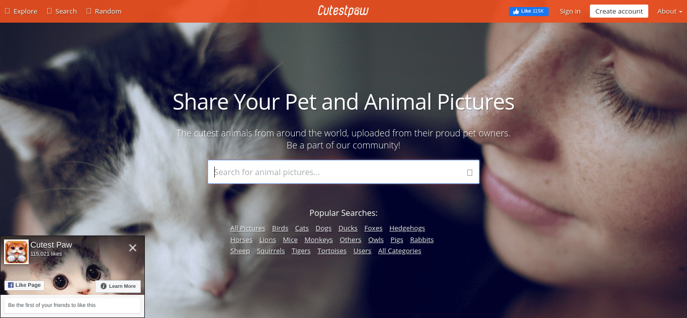 The Cutest Paw website.