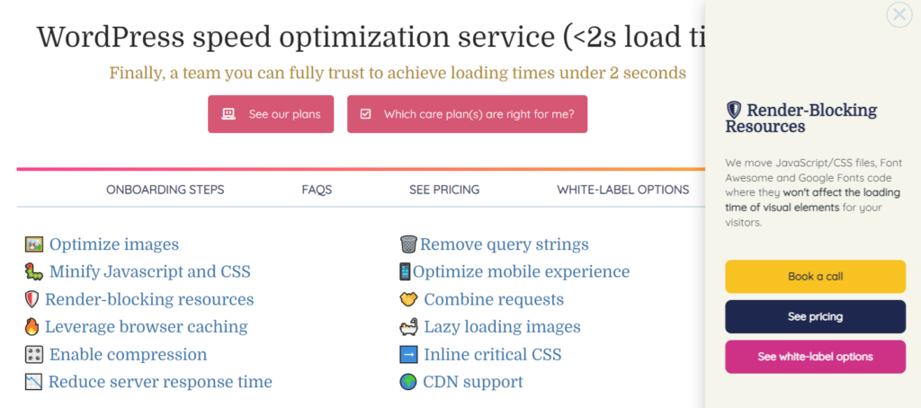 Image of Speed Optimization Service Page to Eliminate Render-blocking Resources by WP Buffs